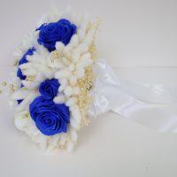 Buchet Nasa
