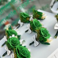 Cocarda Verde Smarald